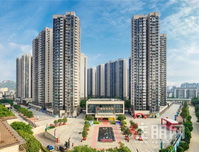 荣和千千树媒体品质行暨三期新品推荐会圆满举行！