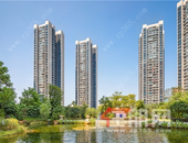 拔掉两栋楼、牺牲三个亿 荣和千千树打造高规格立体园林