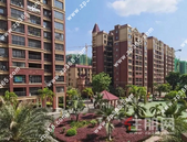 圣世阳光工程进度播报|新年呈新貌，圣世传家音