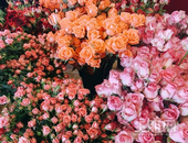 精彩锦洲 I 五 · 一 DIY花漾时代芬芳落幕，回忆精彩瞬间～