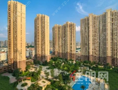 中地滨江壹號首付5万！一口价4088元/㎡任选