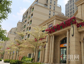 致我们心中，无所不能的父亲