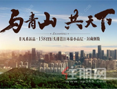 这么多年来的南宁，头排都是谁在坐？