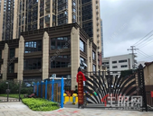 家长看过来! 鲁班路小学8月招生开学啦! 你想要了解的这里都有