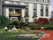 全龄教育 翰墨书香 |华夏院子·璞院给孩子目送式教育