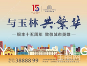 银丰15周年，从拓荒者到城市建设者 住宅篇之【开端】—银丰世纪城