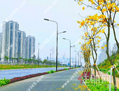 连续爆击! 五象地铁盘狂撒“消费券”首付低至5万起, 还送车位