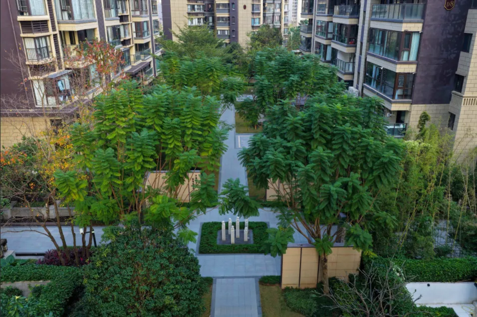 微信图片_20260414085053_360_34.png 微信图片_20260414085053_360_34.png