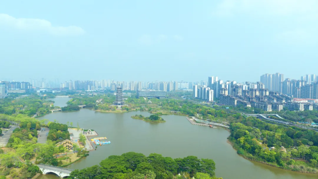微信图片_20260509093708_558_34.png