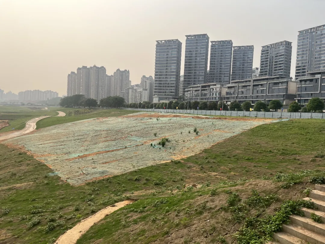 微信图片_20260509093724_562_34.png