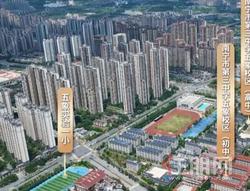 住朋网|2026年广西高考分数线出炉，南宁三中又成焦点！