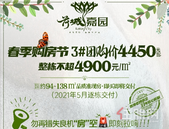 【荷城嘉园】这个三月三假期，一起约“绘”纸鸢~