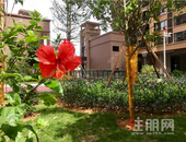 荷城嘉园丨实景呈现，看得见的美好，无需想象！