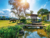 鑫炎梧桐院家书丨初冬家书暖，美好正当时