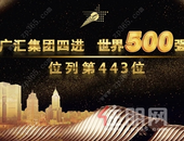 广汇集团四进世界500强，续写新疆本土企业辉煌