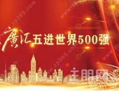 荣耀加冕丨祝贺广汇集团五进世界500强！