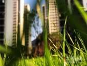 白云大桥开工+现房销售 这个江景房要开挂了