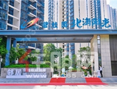 新年伊始 碧桂园社区迎来一批新邻居