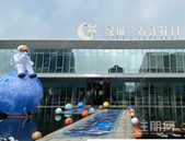 光影璀璨，月见美好 | 绿城沉浸式航空展完美收官！