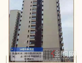 彰泰·凤岭江湾5月家书 | 初夏意渐浓，家音如约至！