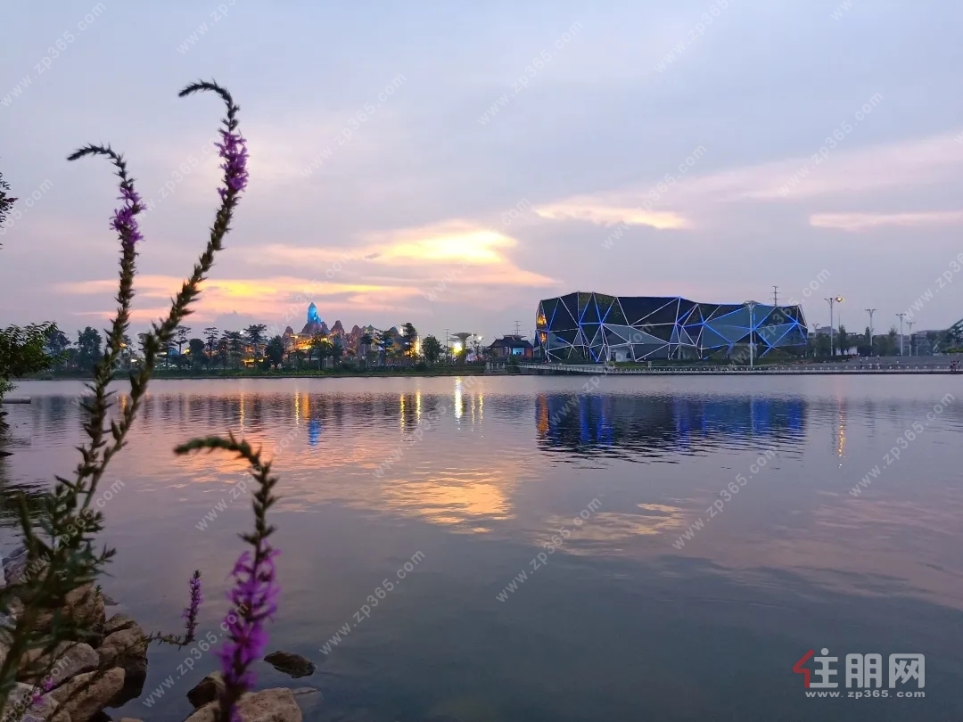 玉东湖实景图
