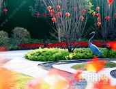 吾悦和府丨一方城市繁华 一方诗意生活