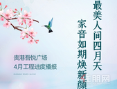 *美人间四月天，家音如期焕新颜丨贵港吾悦广场4月工程进度播报！