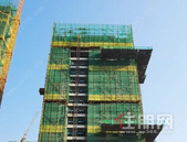 云星·钱隆御园｜十月家书  不负秋色，见证幸福“家”速度。