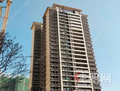 云星钱隆御园|九月家书，秋意渐浓，共叙“家”音