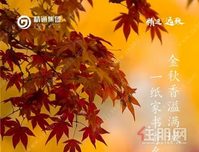 精通·悦府丨10月家书，金秋香溢满城，一纸家书寄乡音