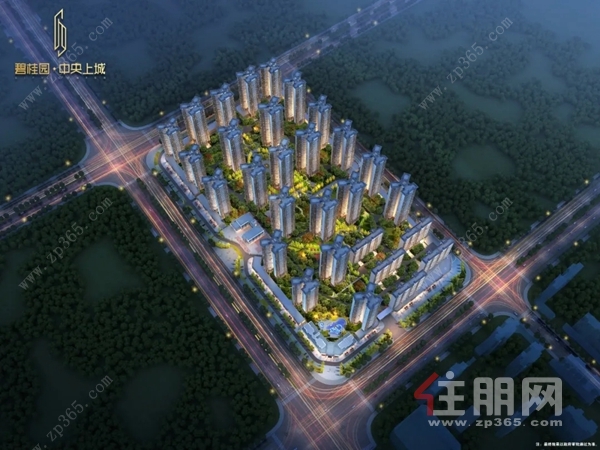 碧桂园·中央上城项目鸟瞰图