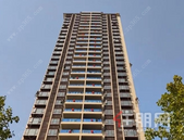 碧桂园交投•中央上城1月家书|新年家音至，预鉴幸福家