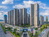 碧桂园交投·中央上城5月家书 │ 初夏芬芳，万般美好皆可期!