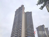 *美人间四月天 家园焕新颜丨碧桂园交投·中央上城4月家书