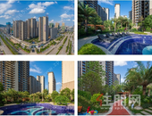 碧桂园交投·中央上城6月家书 │ 流光盛夏，渐入家境