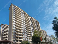 碧桂园交投·中央上城1月家书|岁末寒冬腊月至，家书伴您候春归