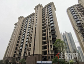 碧桂园交投·中央上城4月家书 │ 春暖四月·美好焕新