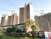 113㎡4房双阳台! 单价仅万字头起, 这些一步到位的户型太香了!