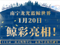 南宁龙光蓝鲸世界即将亮相！