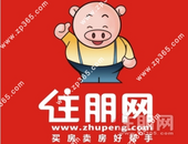 河东静兰中轴大道通车在即，片区配套落地再提速，未来身价暴涨