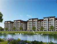 中鼎·公园首府在售22栋5栋，户型有120/110/90㎡ 四房两房，精装11000左右。