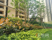 春·纪录丨打卡家门口的限定美景