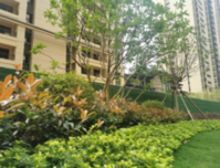 春·纪录丨打卡家门口的限定美景