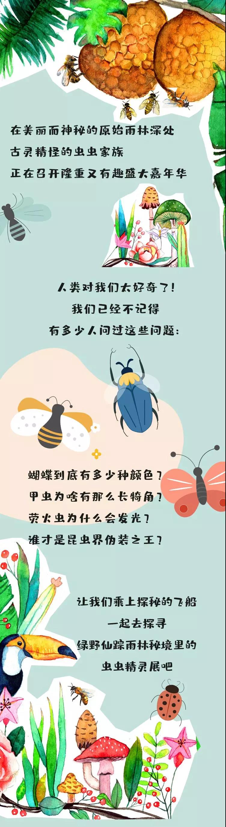 龙凤江城动植物标本配图
