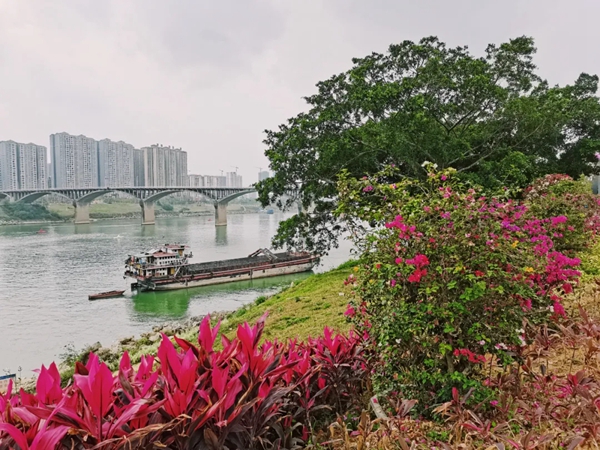 滨江公园实景图