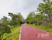 【龙凤江城】滨江公园北岸有新进展！足球场、篮球场都已建好