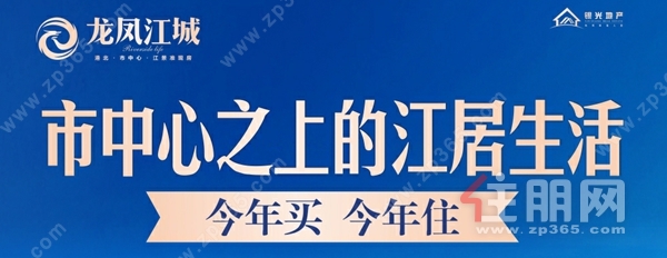 龙凤江城海报图