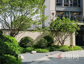 邕江曜极•臻席传奇丨一座城市的风骨，一院传世的院宅！