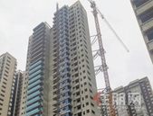 光大·悦湖云邸5月家书｜家的美好，如花绽放