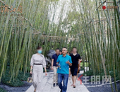 匠心精神归一府丨滨江府清水样板间璀璨绽放，美好如你所见